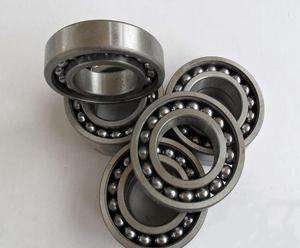 Classy 306/C4 Bearing